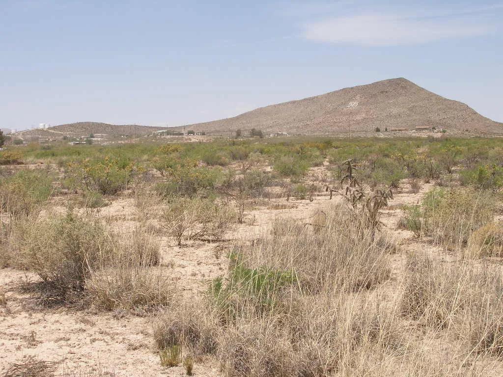 4 lots Sierra Blanca   buy 1 to 4lots