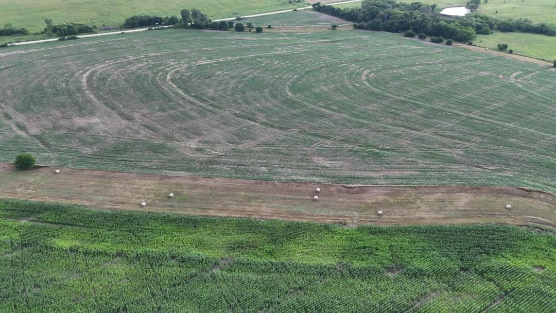 360 Acres | Productive Farmland with Recreational Appeal