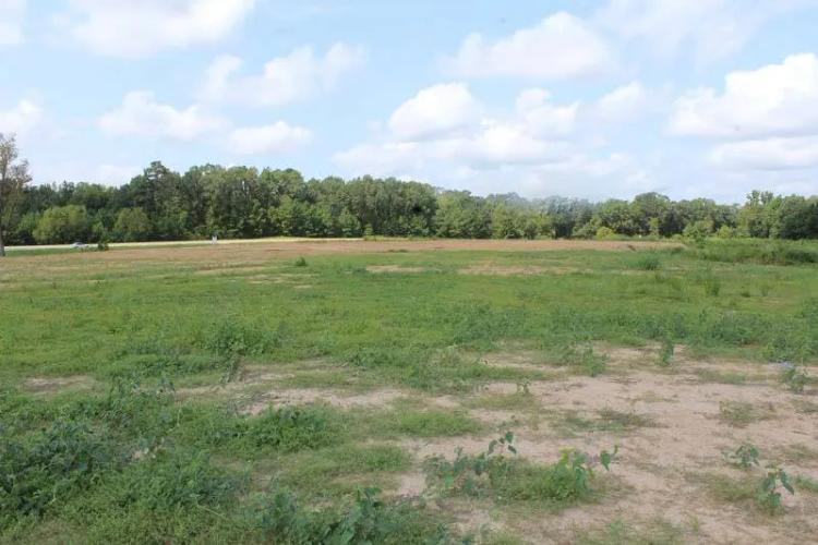 16.59 acres prime business location improved land Many, LA