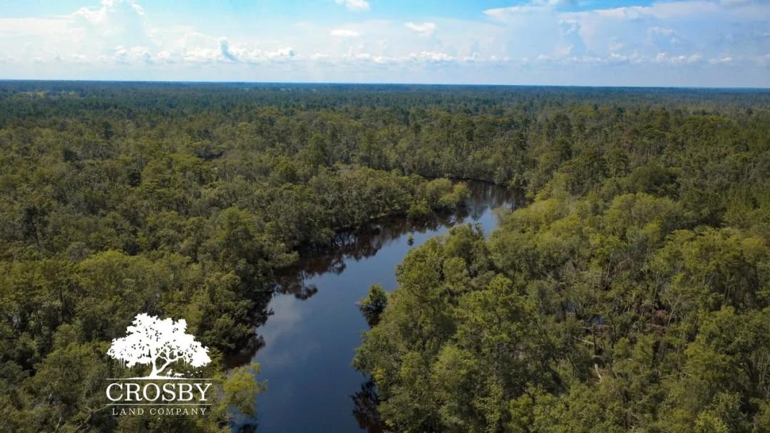 Alapaha River Tract #1