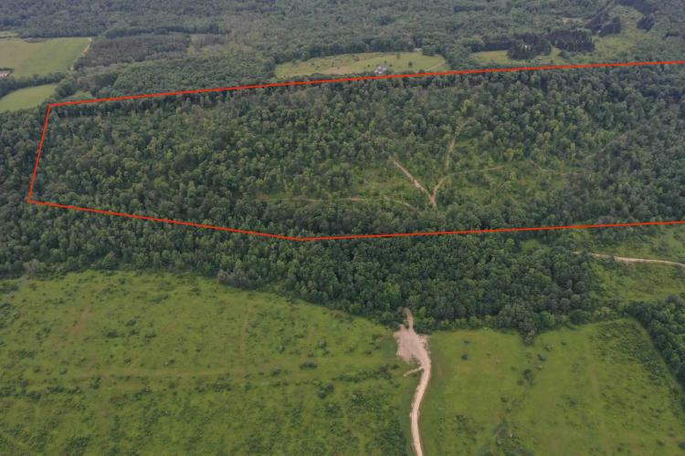 160 acres Hunting Land and Recreational Land in Cuba NY County Road 20