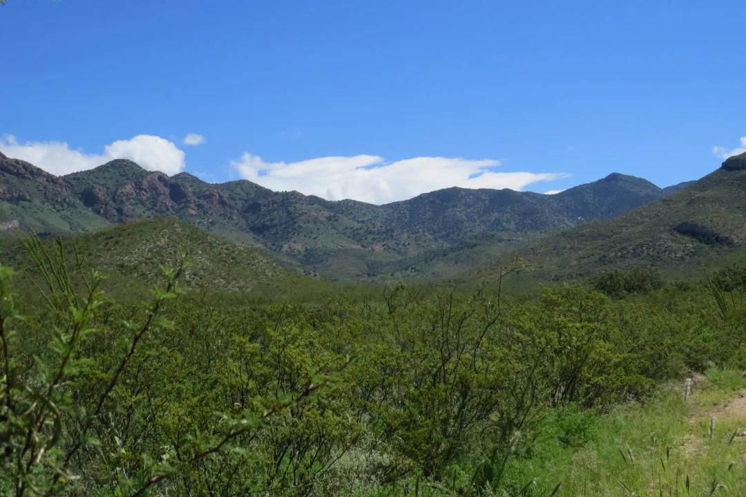 1340.00 Acres at  Off Hwy 92 &amp; Rio Vista Rd