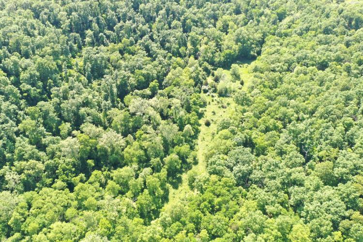 35.44 Acres of Excellent Hunting and Recreation Land