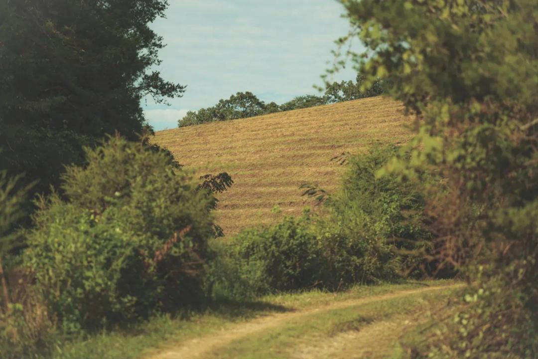 303 Acre Farm in Sevier County, TN 