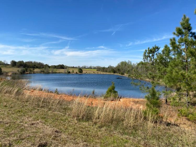 100.00 Acres at 00 County Road 137