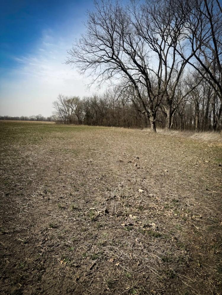 Chariton River Bottom Land