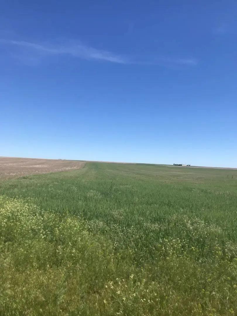 NW Cheyenne County Quarter Section