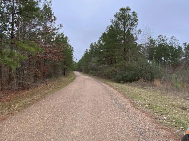 Posey Webb Camp Road Tracts, La Salle Parish, 172.16 Acres +/-