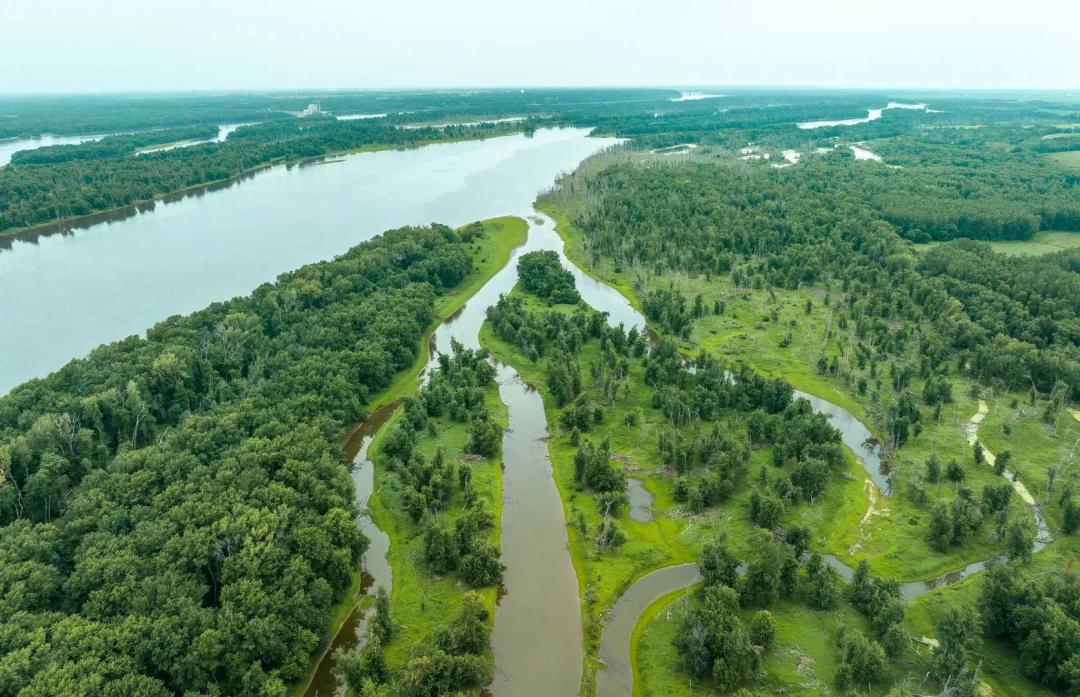 241.51+/- Acres on Carman Rd. Lomax, IL Henderson Co.