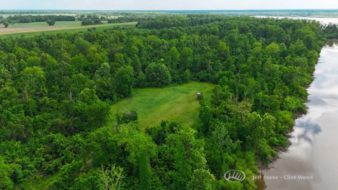 Carolina Chute Reserve - 980± Acres MS River Hunting Land