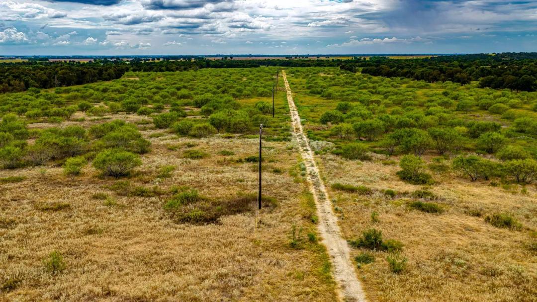 109.25 Acres in Milam County