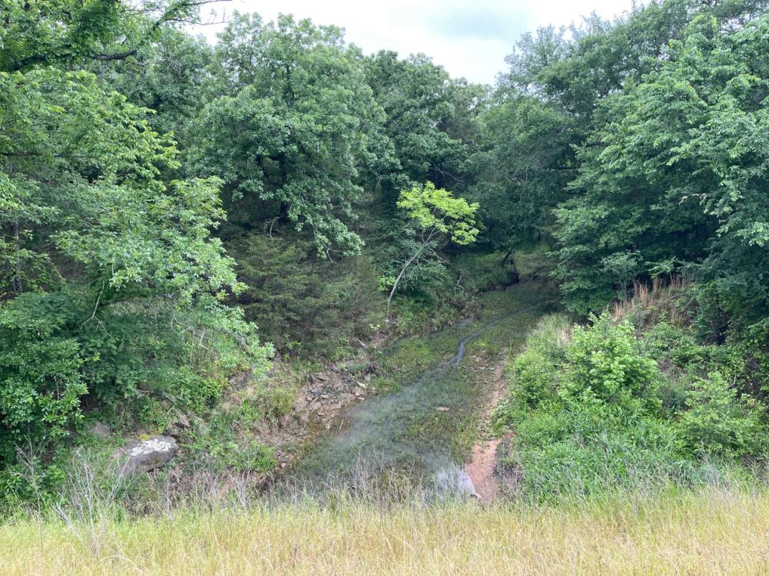 16.00 Acres at Lot 43 Highway 2