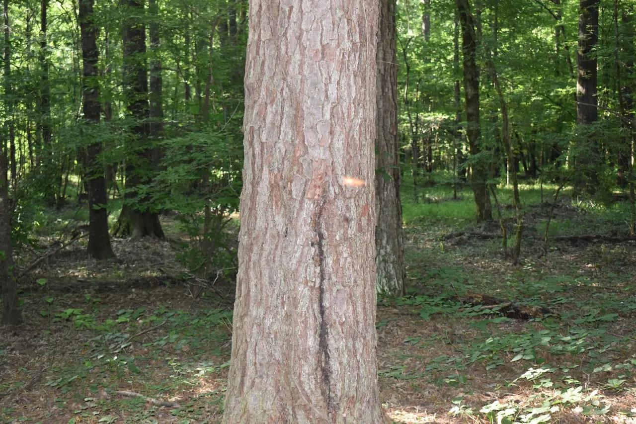58289293-16