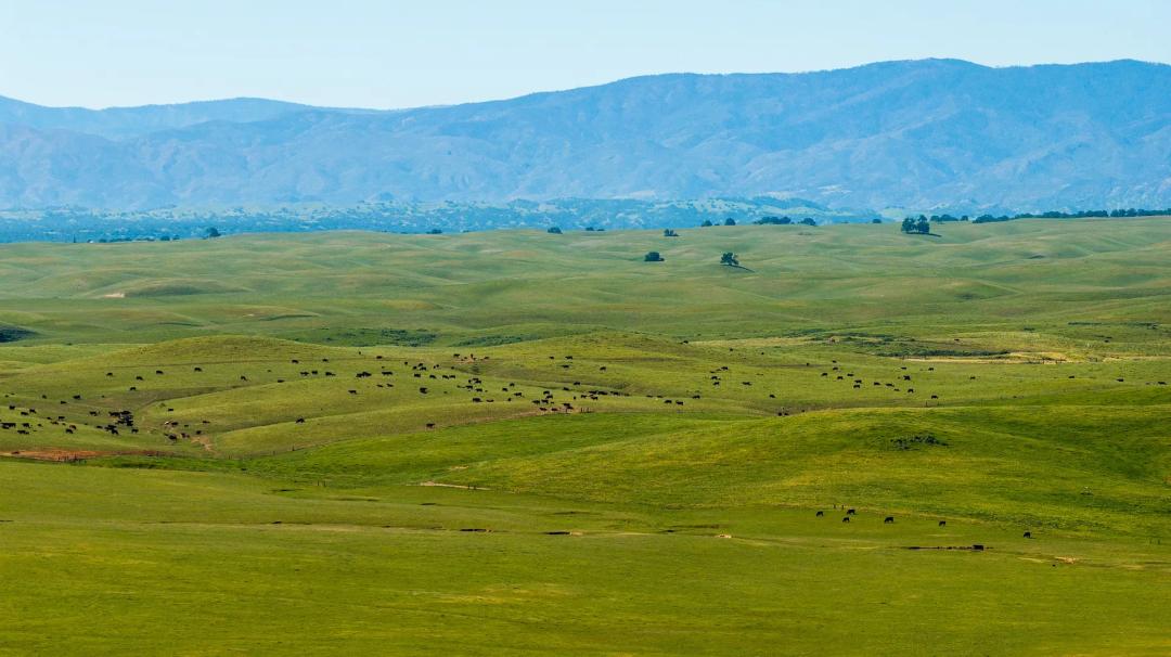 Carpenter Ranch