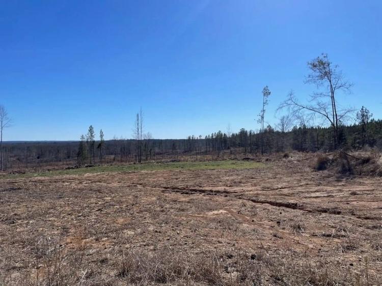 310 Acres Claiborne Hunting Property