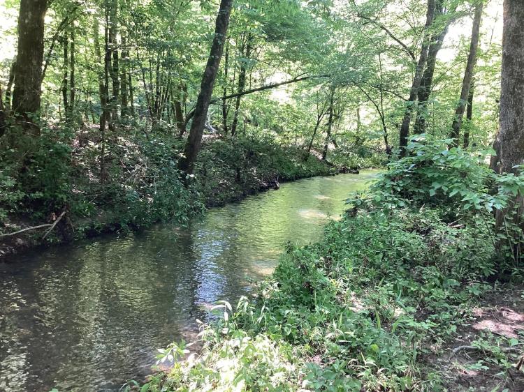10.82 Acres in Montgomery County, AR 