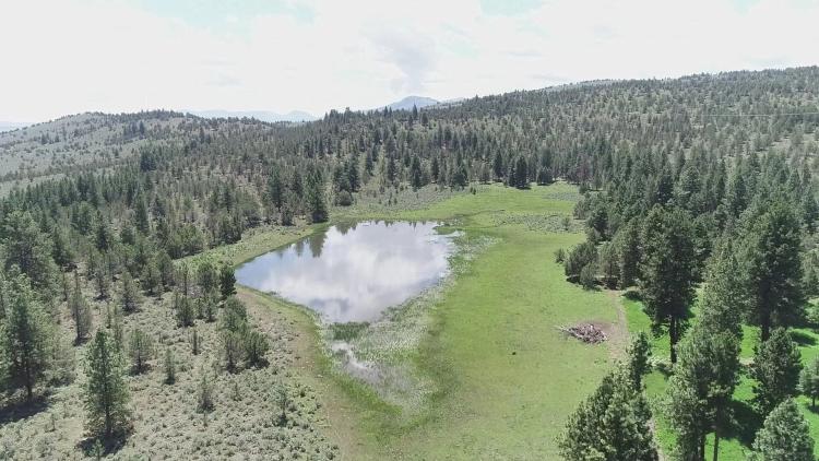 Pinherio Ranch