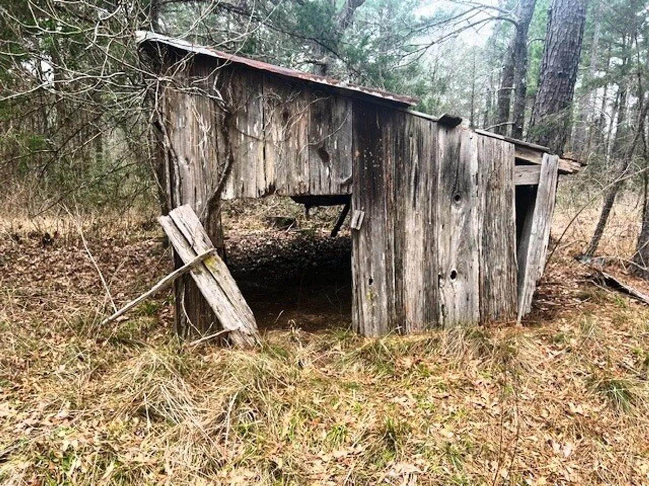 58339738-8