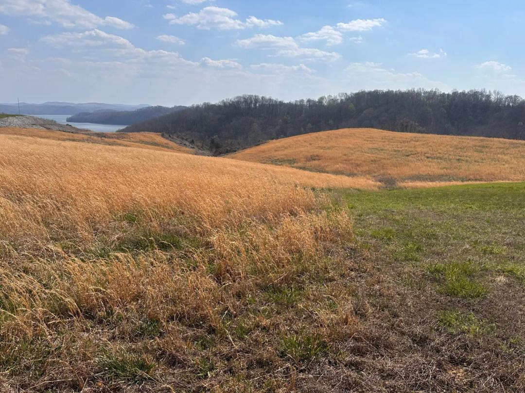 Dale Hollow Lakeview Acreage
