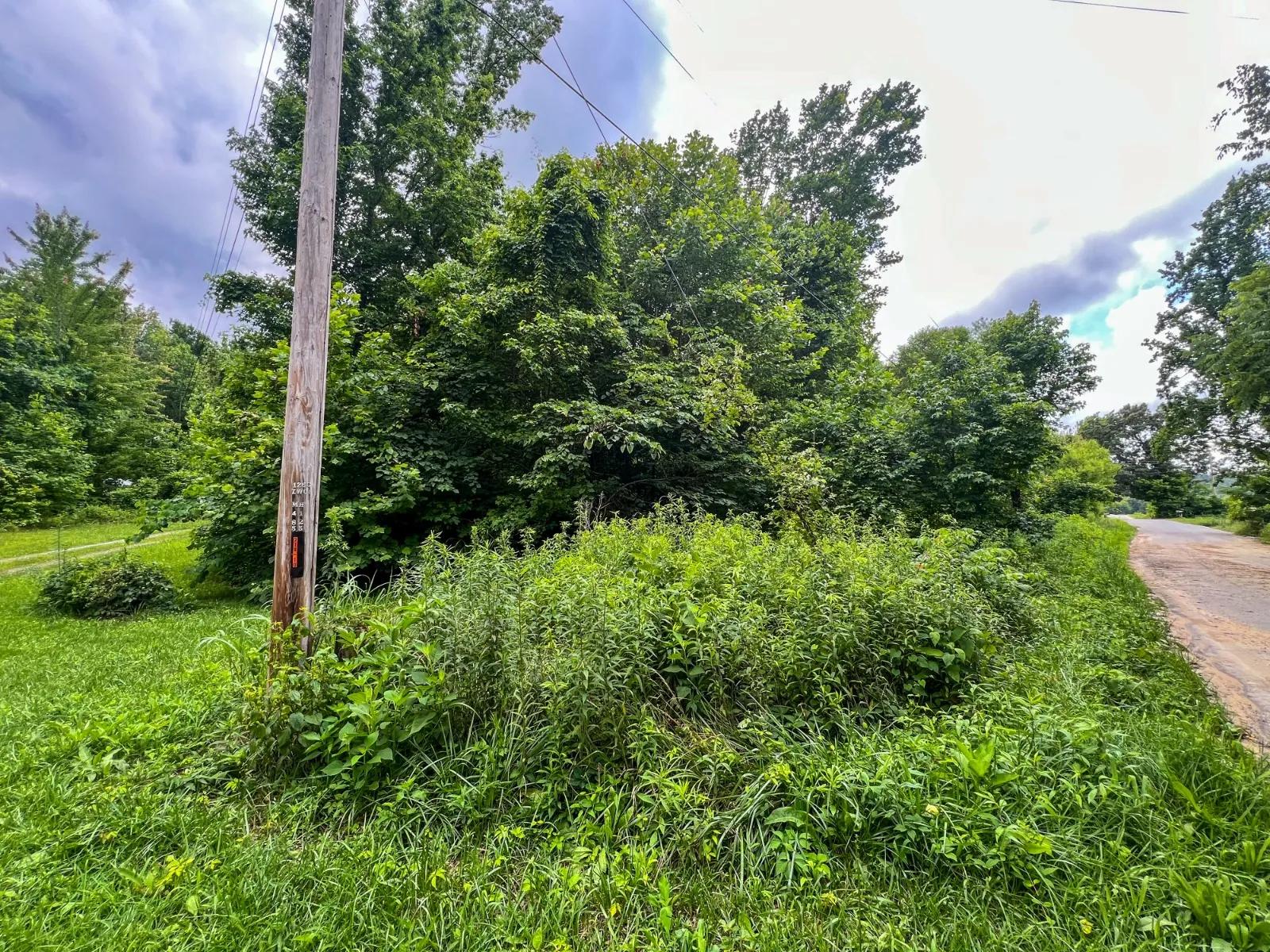 58415664-1