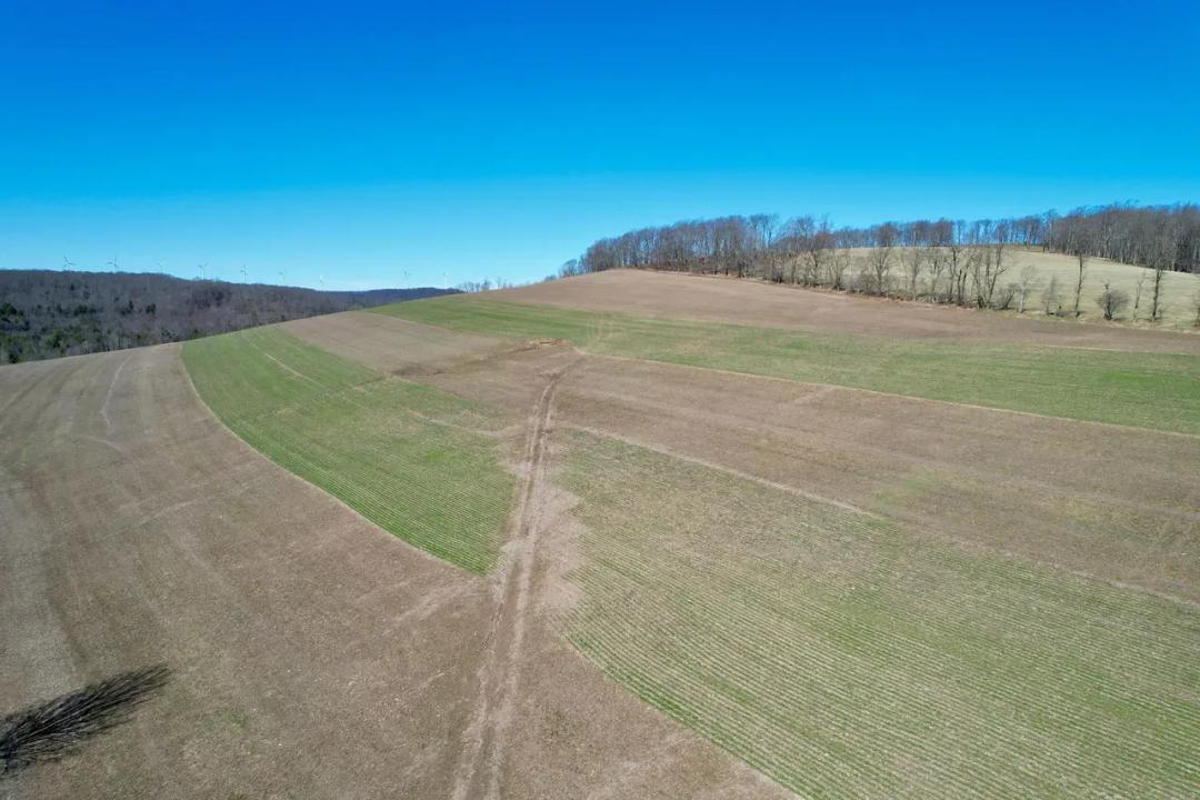 Deal Rd., Somerset County - 38 +/- Acres