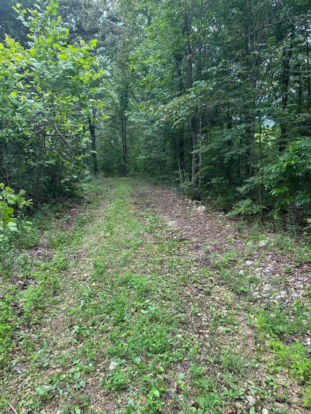Bucksnort Hunting Paradise