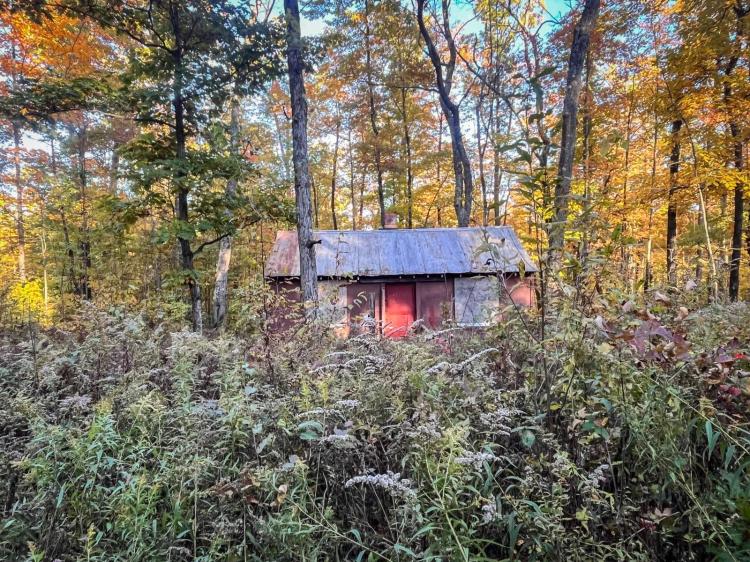 A Private Gateway in the Finger Lakes National Forest