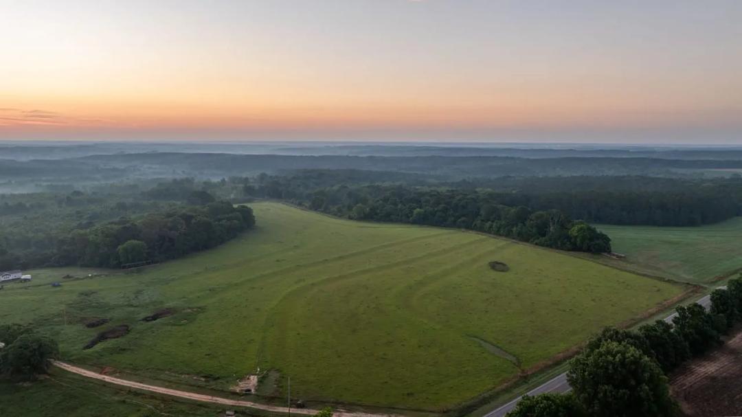398 Acres in Elba: Ultimate Hunting Camp or Family Homestead