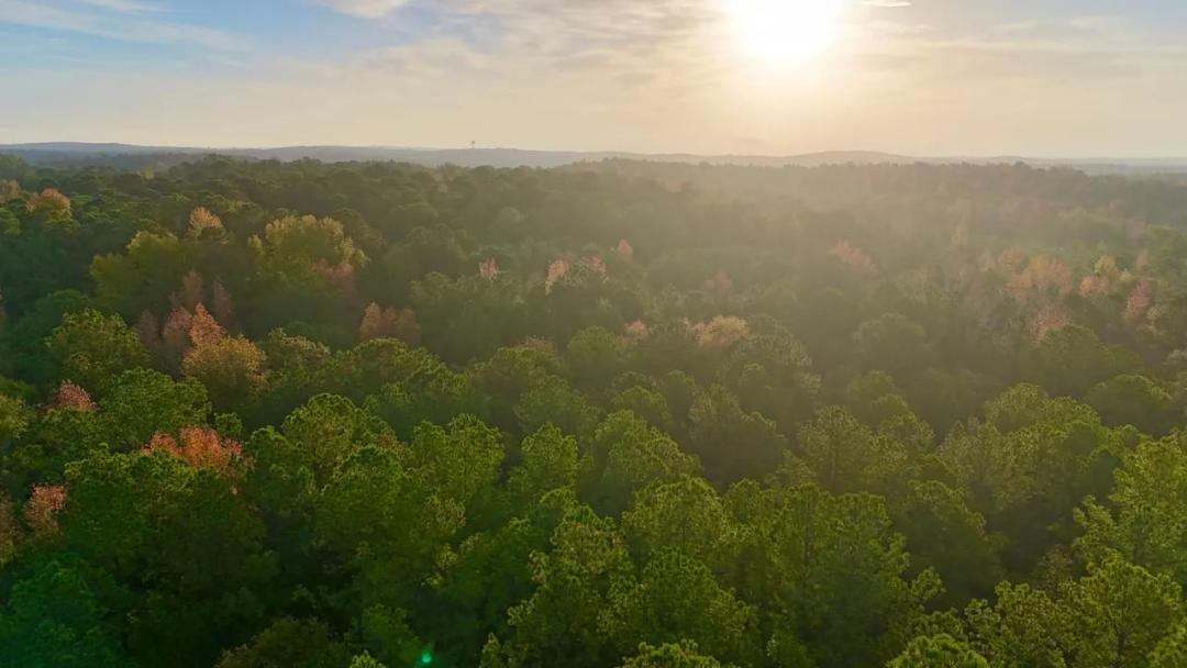 36.877 Acres Dennis Creek Talbot County