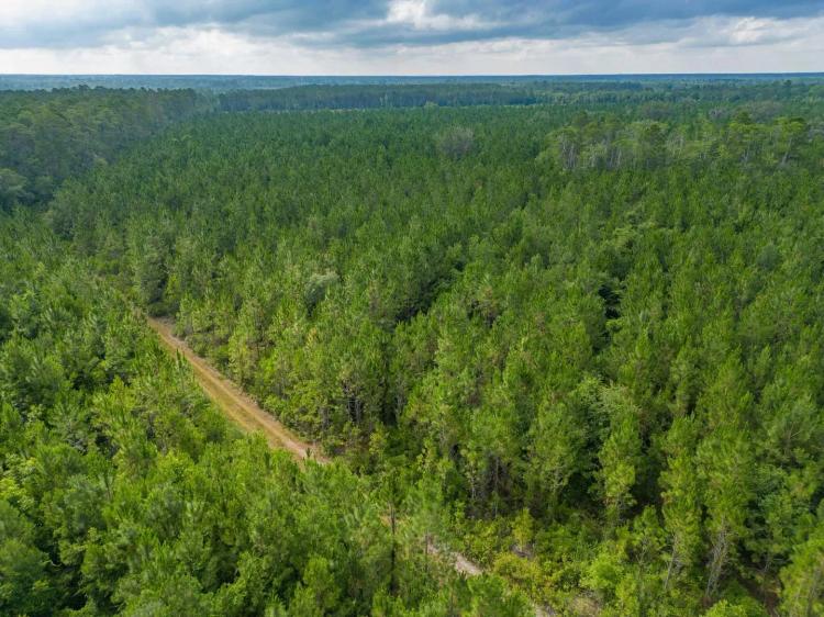 199 Acres of Country Bliss: Prime Land in White Oak, GA