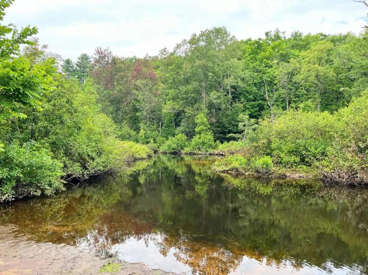 11 acre Creekfront Building Lot Pitcairn NY