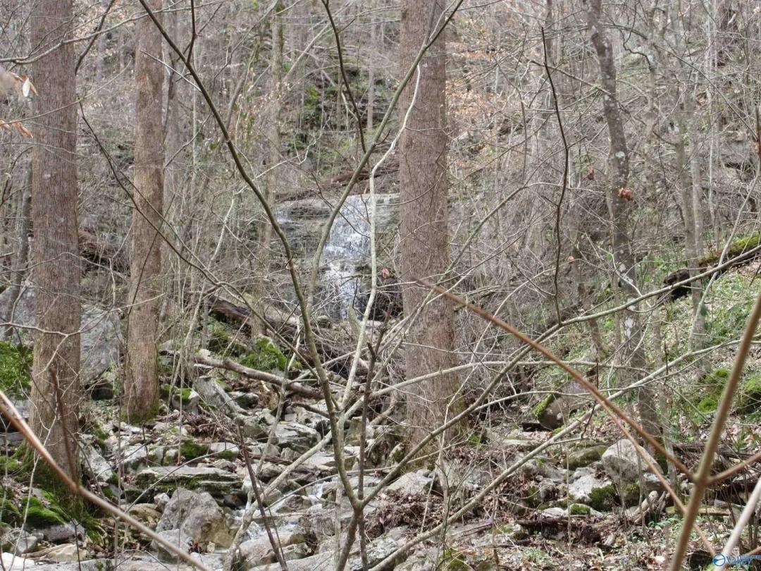 Property from 1958 County Road 32 - KW