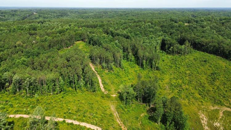 79.00 Acres at 0 County Road 110
