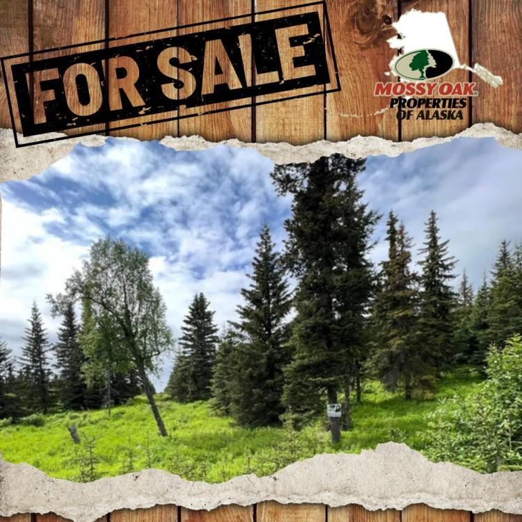 Undeveloped View Lot In Ninilchik