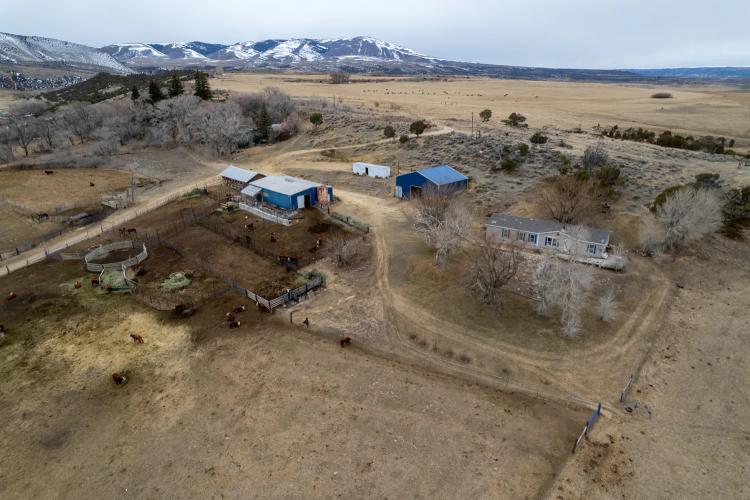 Pallesen Ranch
