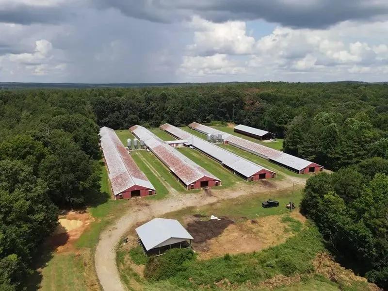 Stitcher Broiler Farm – Four House Farm in Carroll County, Georgia