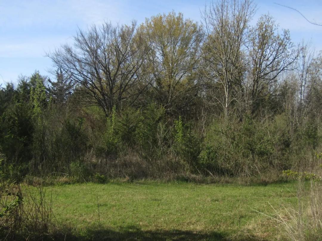 Jay Mac Addition Residential Building lots or Investment Property Hugo, Ok 