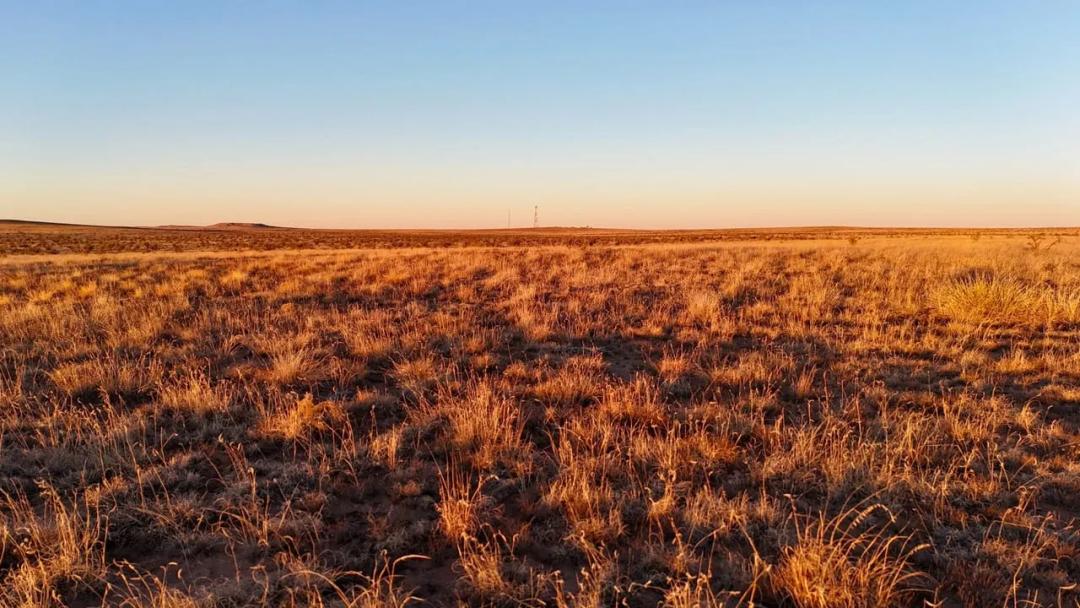 324± Acres De Baca County