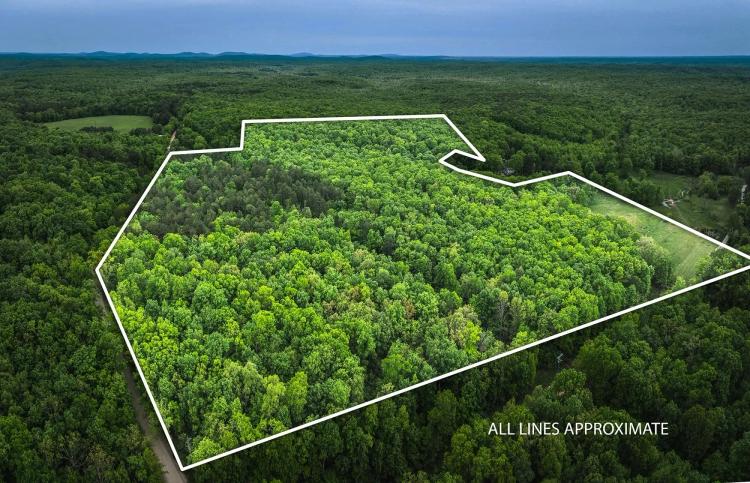 Scenic Property with Hunting Opportunities and Ideal Building Sites for Sale – Iron County