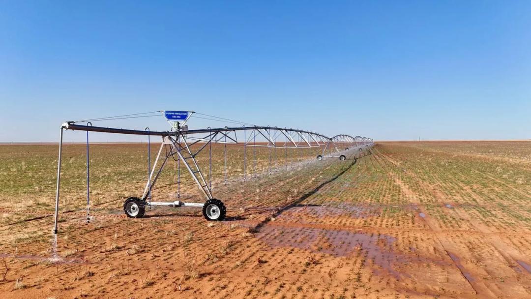 400± Acres Dawson/Gaines County