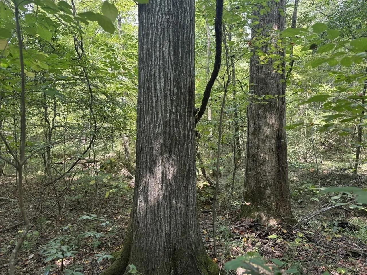 58781839-16