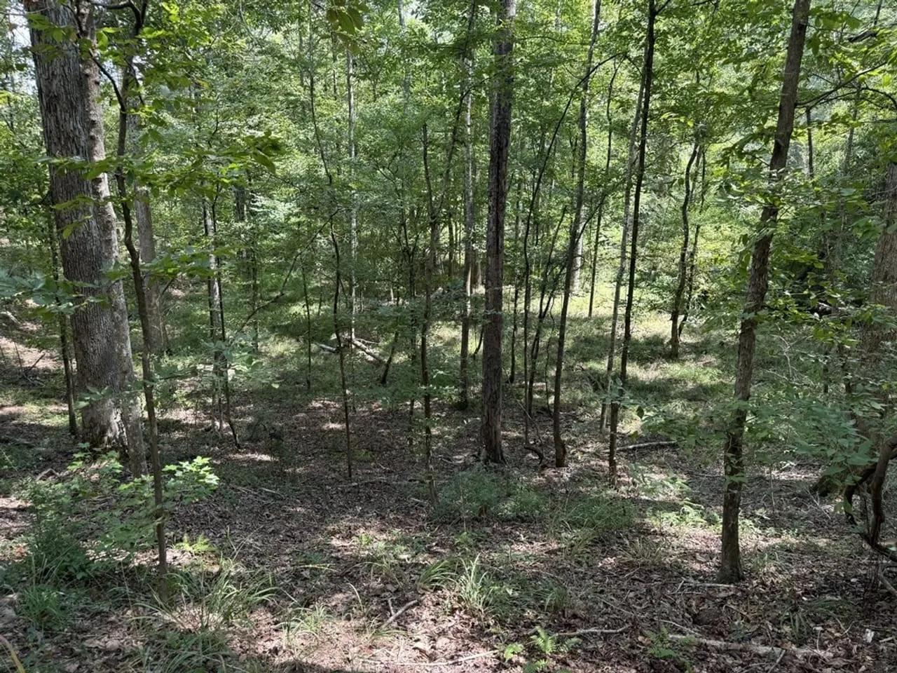 58781839-27