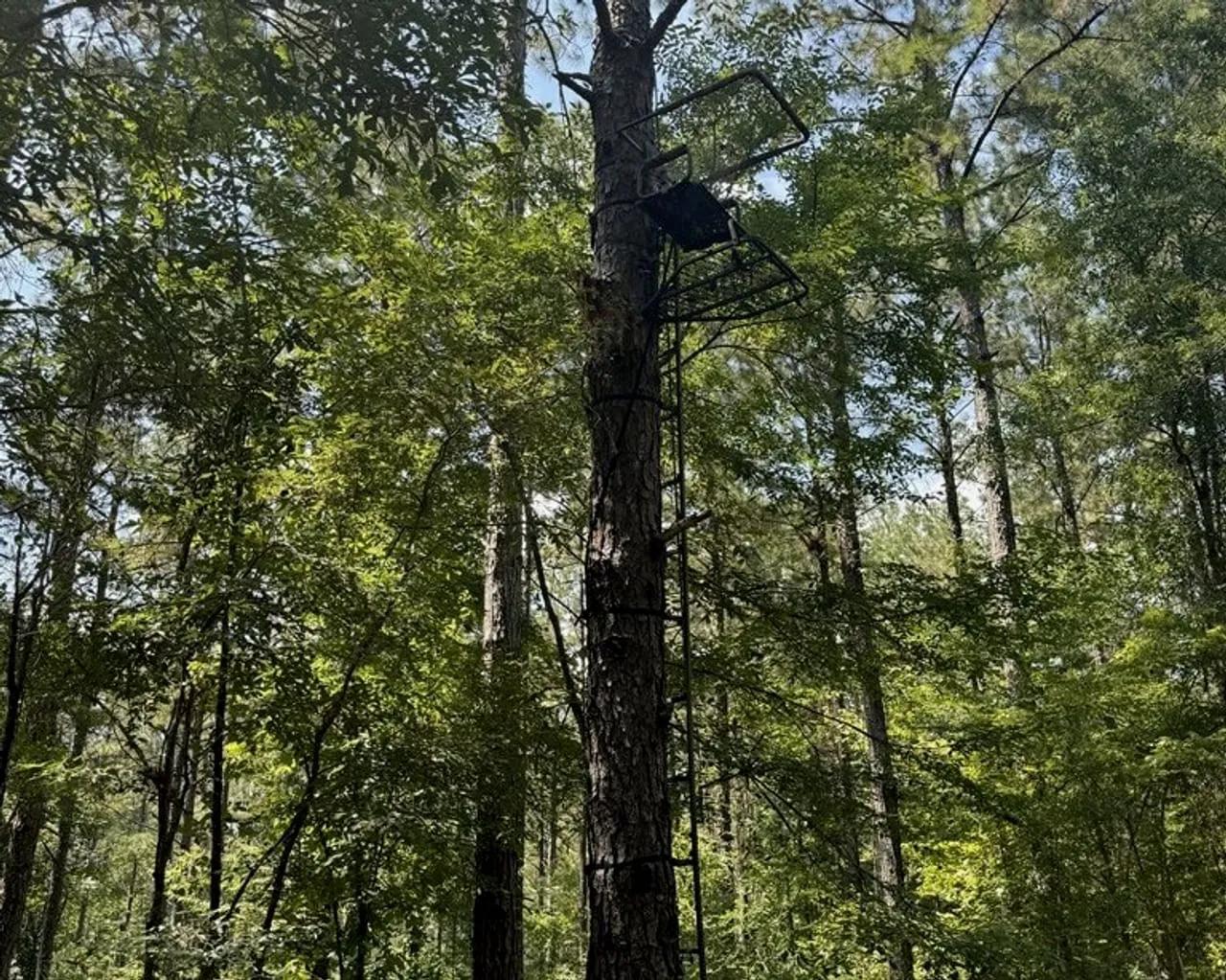 58781839-4