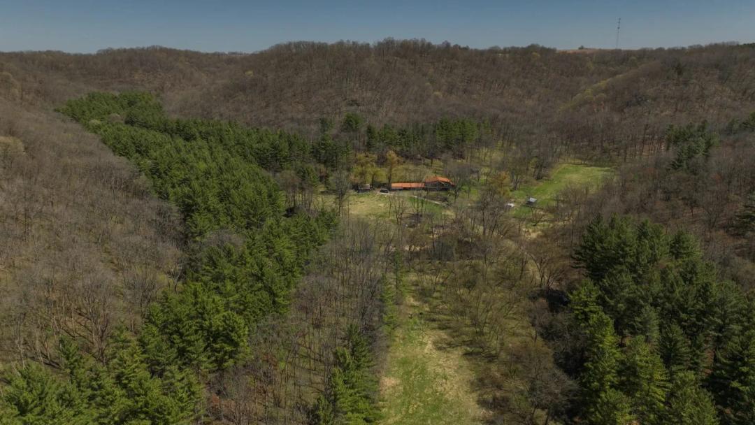 125 Acre Driftless Bluff Sanctuary | Private Valley, Spring-Fed Pond & Trophy Whitetail Haven Near Boaz