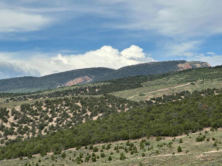 Willow Creek Mountain Land