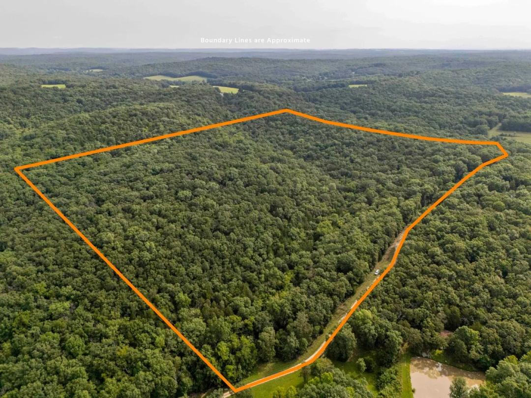 Walz Road, Hermann, Gasconade County, MO 65041 for Sale at Auction – Thomas Property