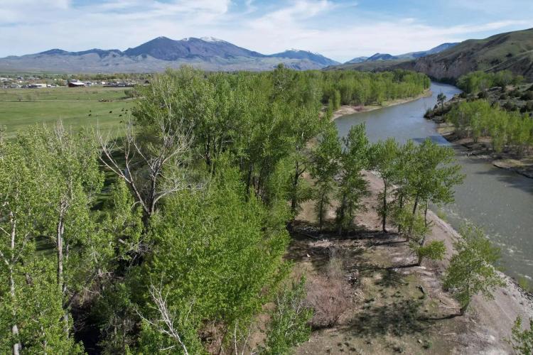 St Charles Salmon Ranch