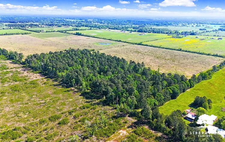 DAYTON Tract 4 | 12+ Acres | Only $15K Down