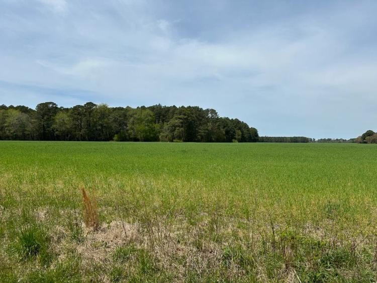 94.00 Acres at 0 Bayside Road