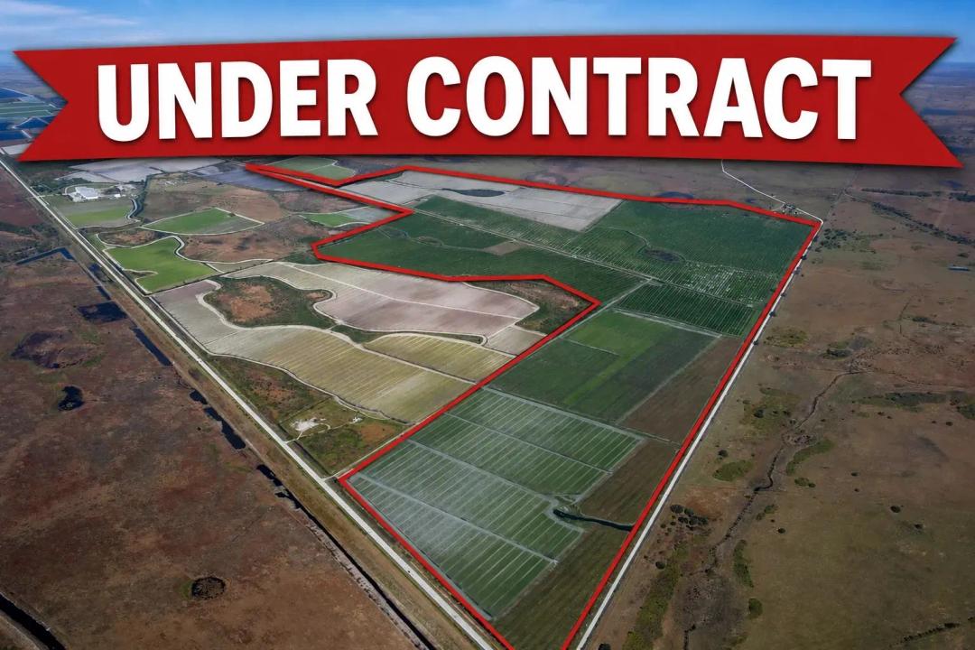 742.87 Acres Osceola County, FL Scalable Farm with Ranch History